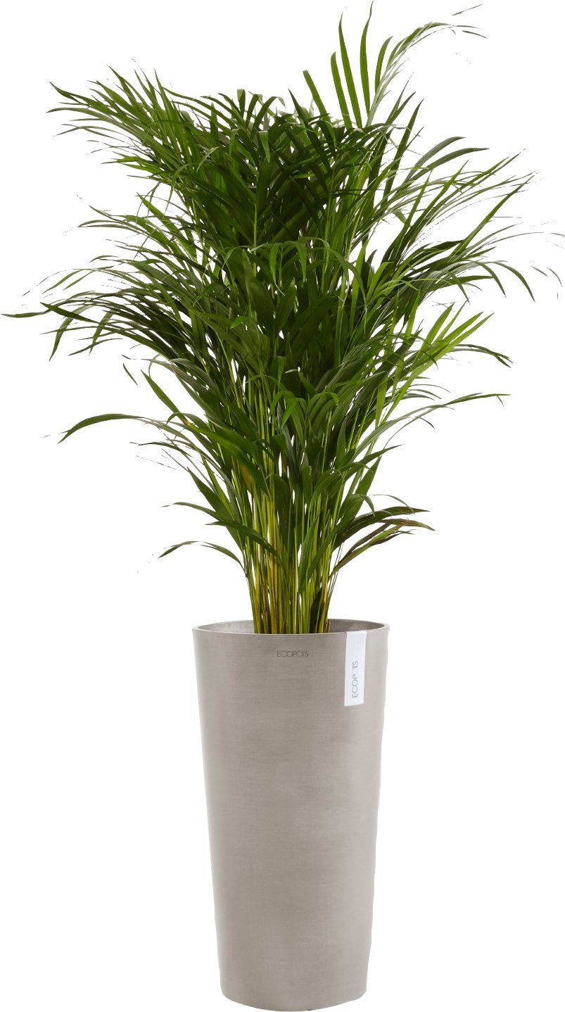 ECOPOTS Blumentopf AMSTERDAM HIGH Taupe, BxTxH: günstig online kaufen