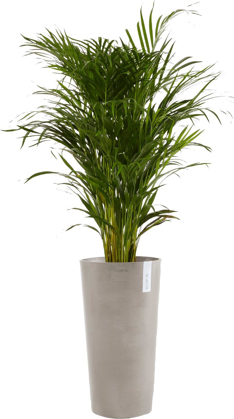 Taupe, 41x41x76 Blumentopf HIGH cm BxTxH: ECOPOTS AMSTERDAM