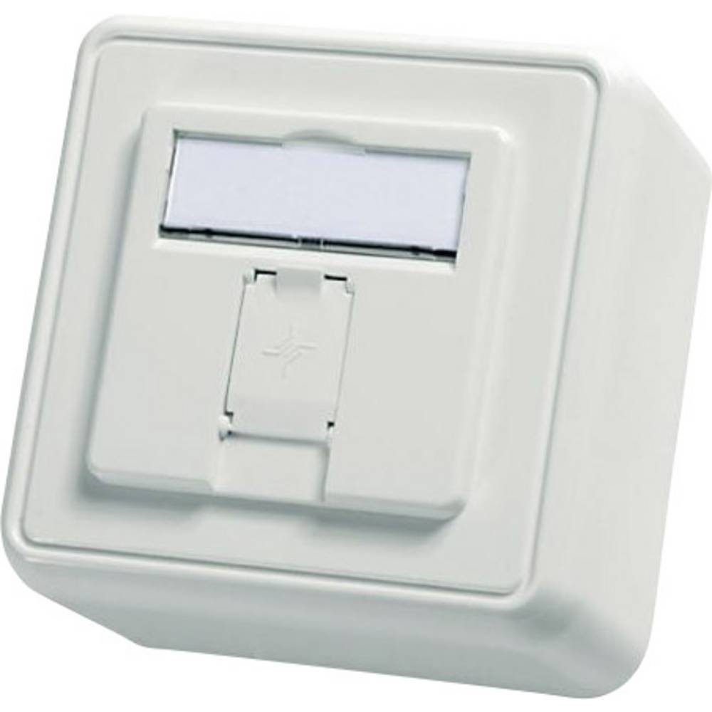 Modul-Aufnahme 80x80, 1-fach AP unbestückt Netzwerk-Adapter