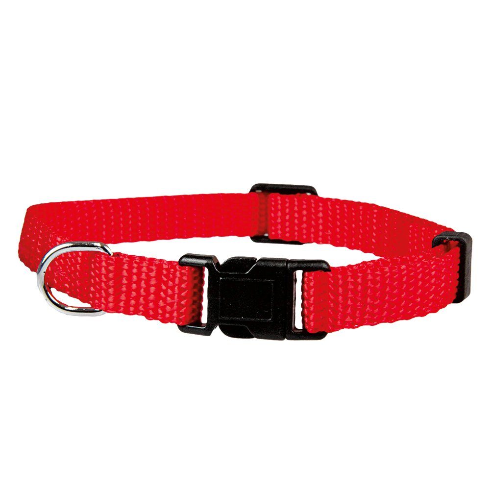 Schecker Hunde-Halsband Welpen Halsbänder - Ideal für Züchter - 4 Farben, Nylon, in 4 Farben wählbar