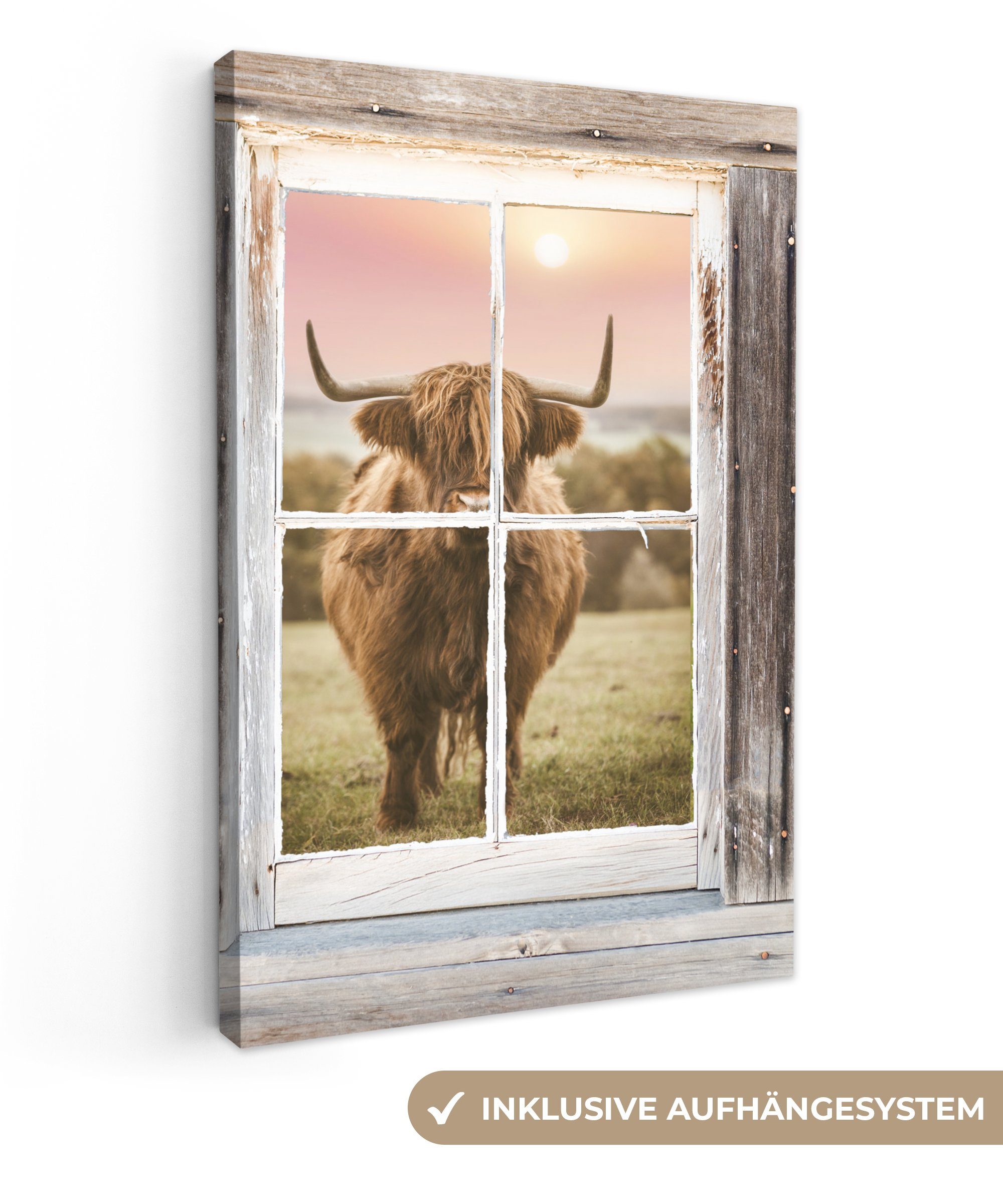 OneMillionCanvasses® Leinwandbild Schottischer Highlander - Ansicht - Fenster, (1 St), Leinwandbild fertig bespannt inkl. Zackenaufhänger, Gemälde, 20x30 cm