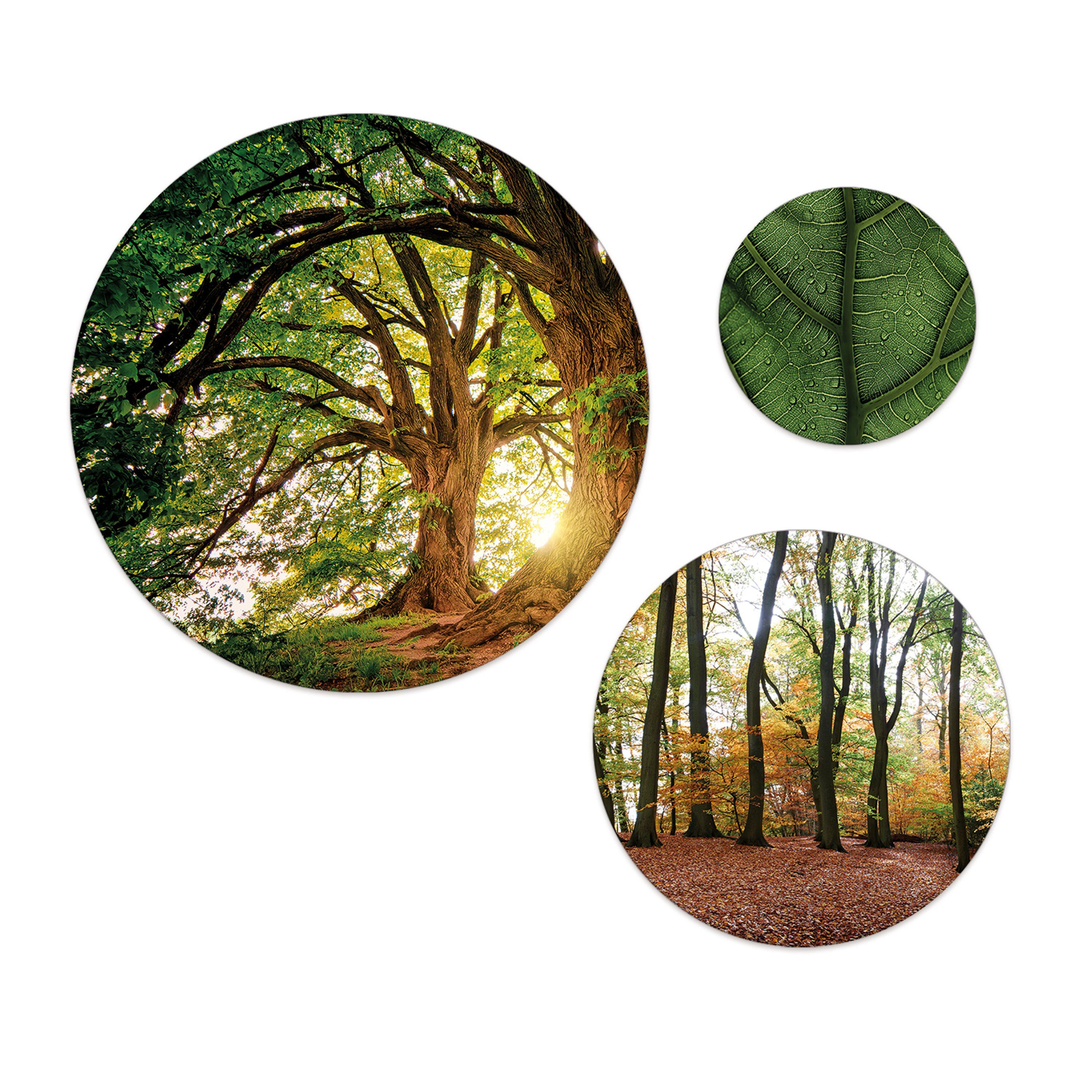 artissimo Mehrteilige Bilder mehrteiliges Bilder-Set 3 Wandbilder rund Wandkreise Wald und Bäume, Landschaft: Bäume und Blätter grün