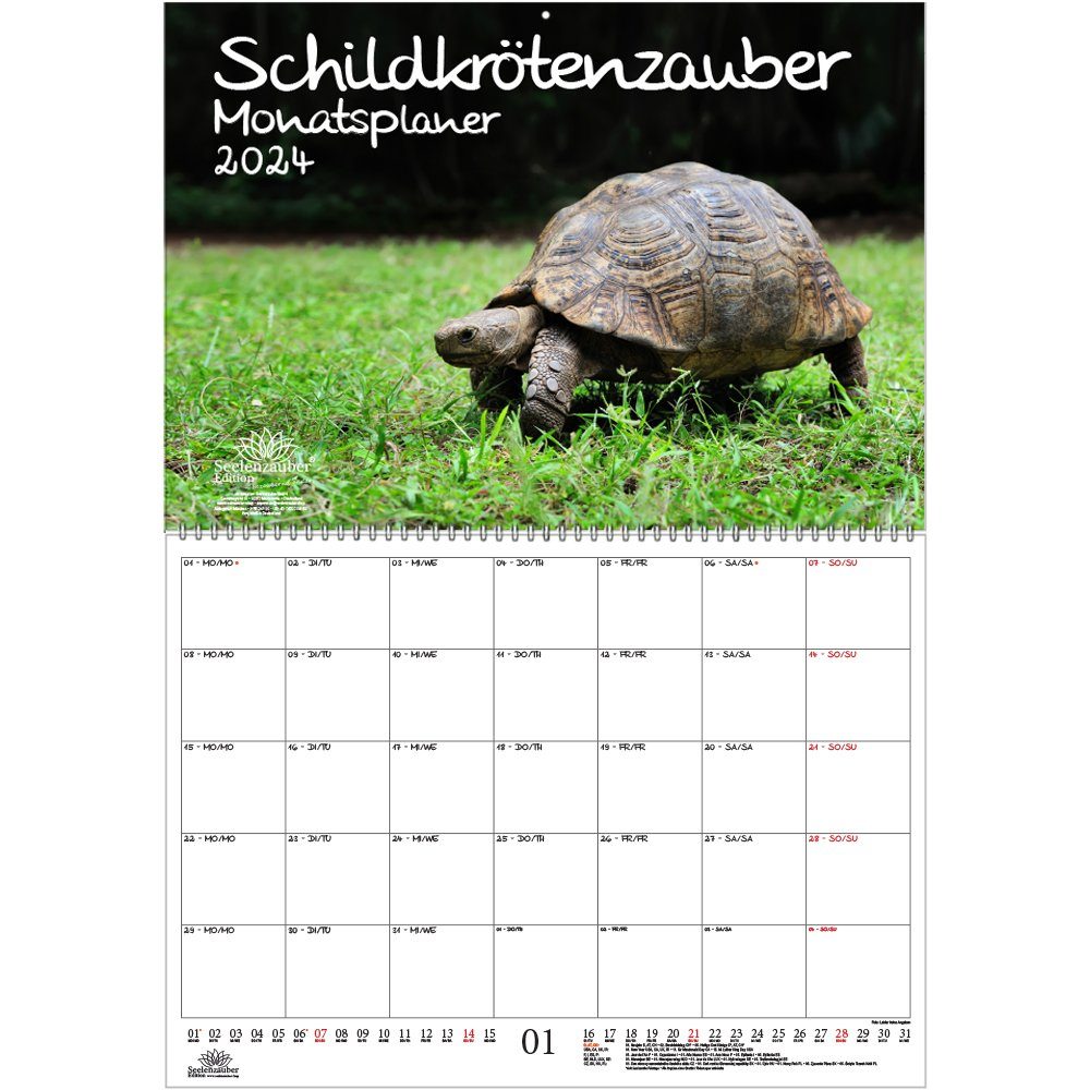 Schildkrötenzauber: Ausmalbilder für Groß und Klein – Kostenlos zum Download!