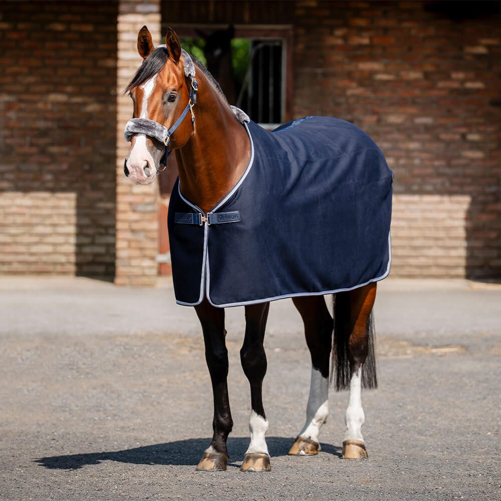 Bucas Pferde-Abschwitzdecke Bucas Emerald Wool Rug