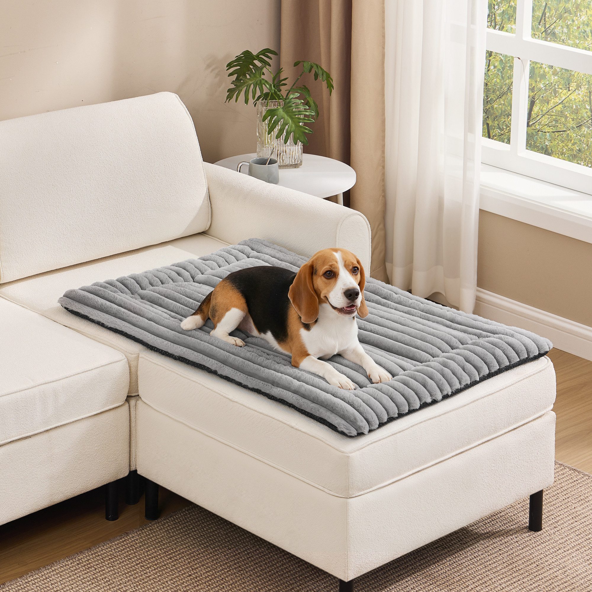 FEANDREA Tierdecke Hundedecke, Haustierdecke für Hunde, Katzen, Hundesofa, taubengrau, XL, 105 x 70 cm, maschinenwaschbar, Hundesofa-Schutzdecke