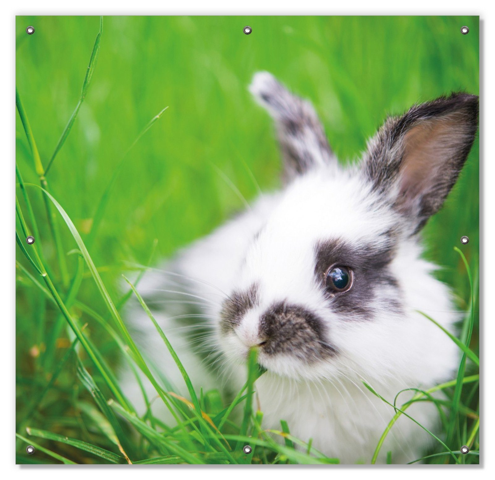 Sonnenschutz Süßer Hase im grünen Gras, Wallario, blickdicht, mit Saugnäpfen, wiederablösbar und wiederverwendbar