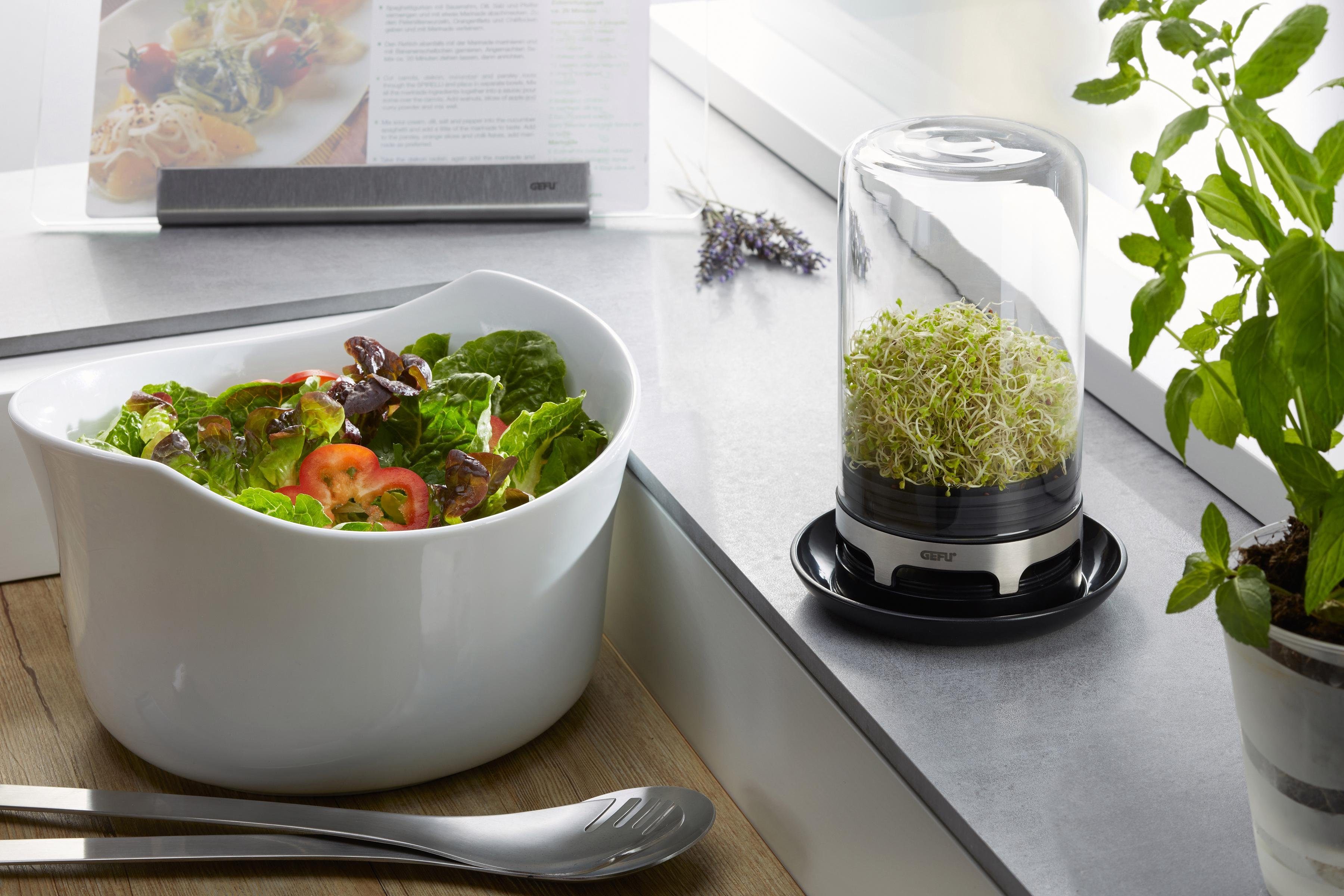 GEFU Kräutertopf Bivita, Sprossenglas günstig online kaufen