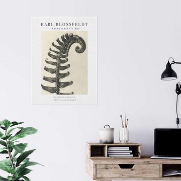 Posterlounge Poster Karl Blossfeldt, Holly fern, Wohnzimmer Vintage Grafikdesign