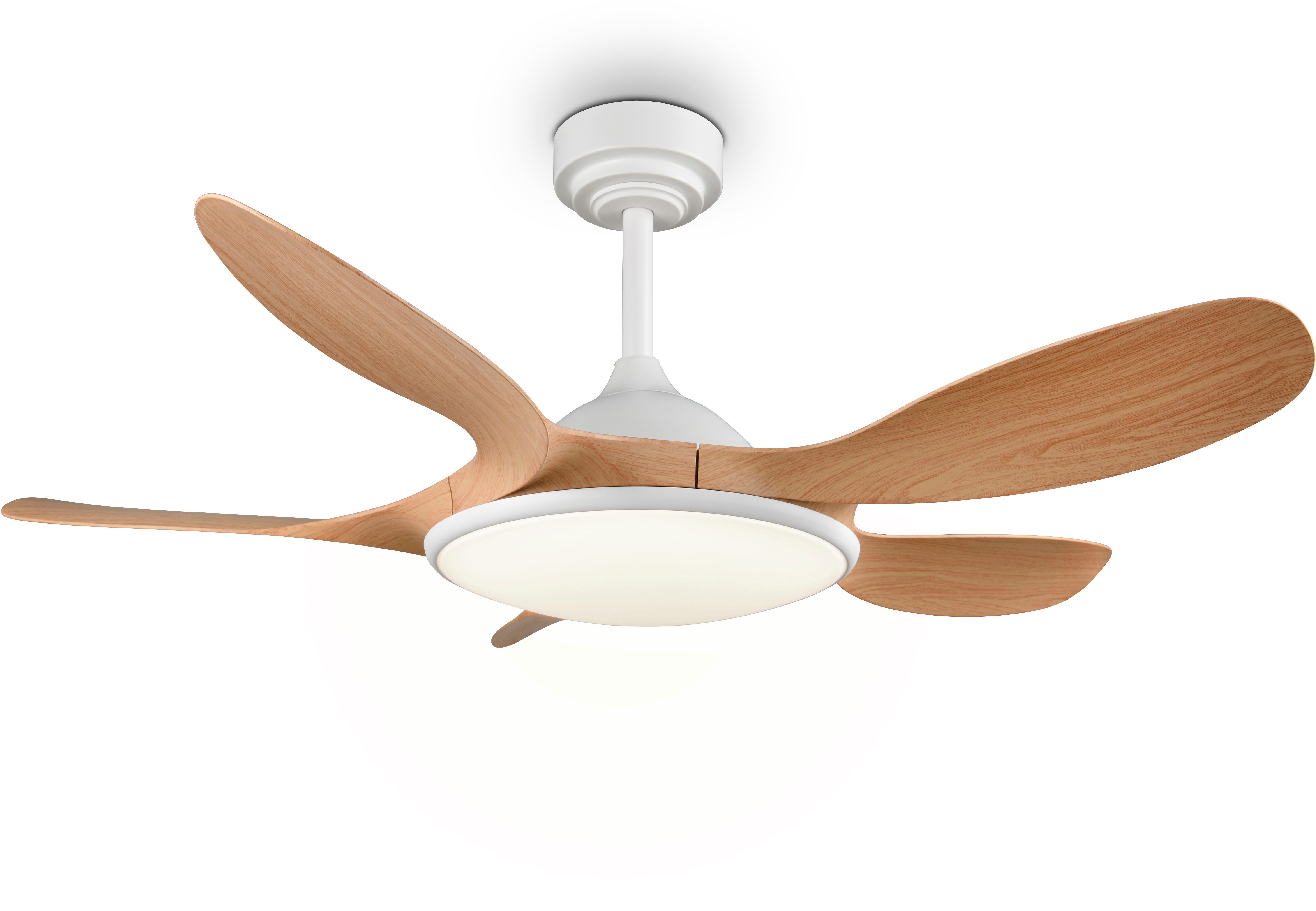 Reality Leuchten LED Deckenleuchte FLEN mit Ventilator, großer Deckenventilator Ø 108cm mit 24W LED CCT, CCT - über Fernbedienung, Dimmfunktion, Memoryfunktion, Nachtlichtfunktion, Timerfunktion, Ventilatorfunktion, getrennt schaltbar, LED fest integriert, Farbwechsler, warmweiß - kaltweiß, Fernbedienung 6 Geschwindigkeiten Timer Vor- & Rücklauf dimmbar
