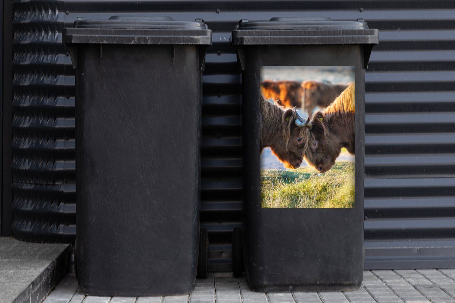 - Highlander Wandsticker Mülleimer-aufkleber, Sonne Abfalbehälter (1 Container, Tiere Mülltonne, Schottische Sticker, St), - MuchoWow