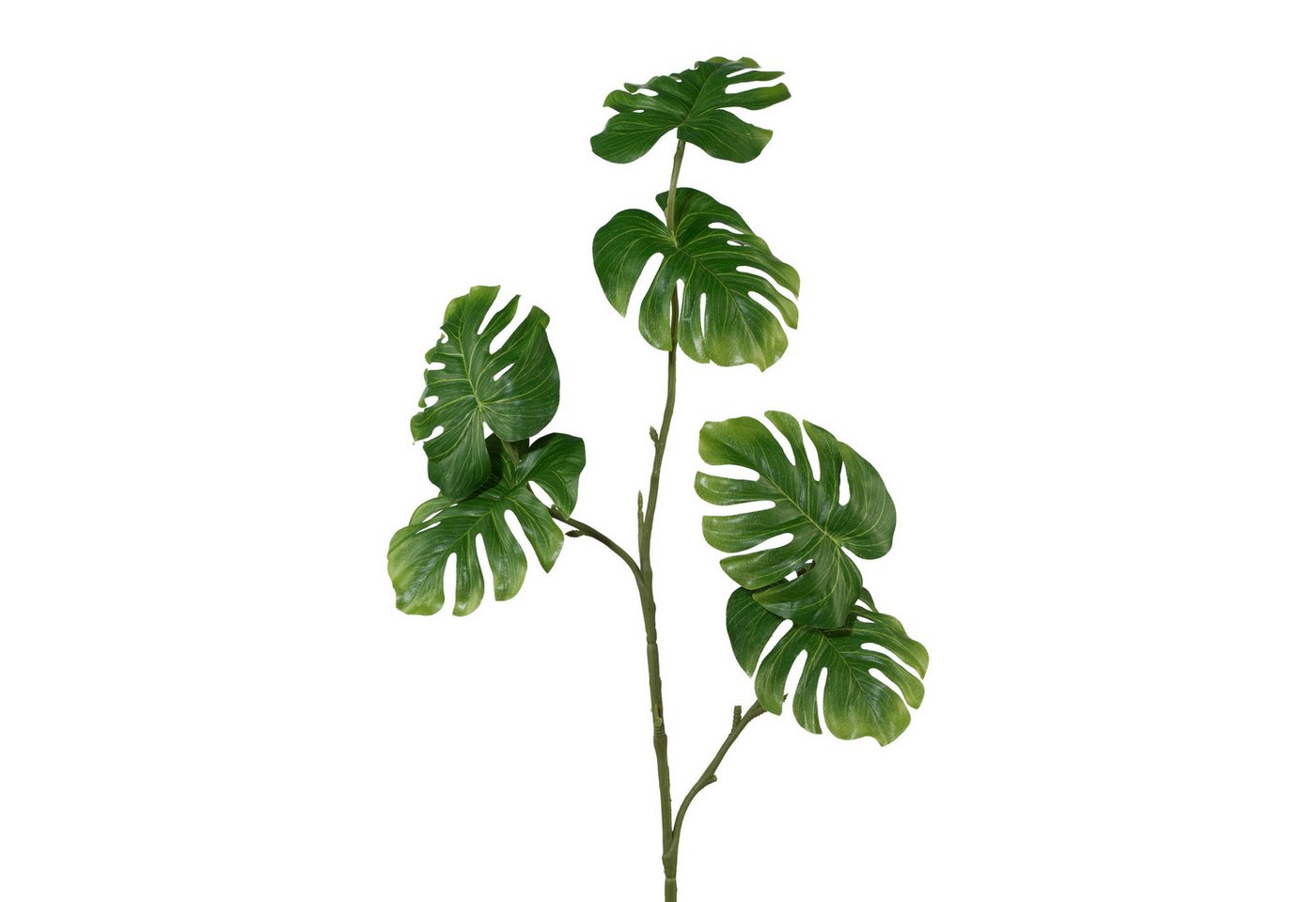 Kunstzweig Kunstpflanze SPLITPHILOZWEIG, 80cm Philodendron mit 6 Blättern, Gasper, Höhe 80.00 cm
