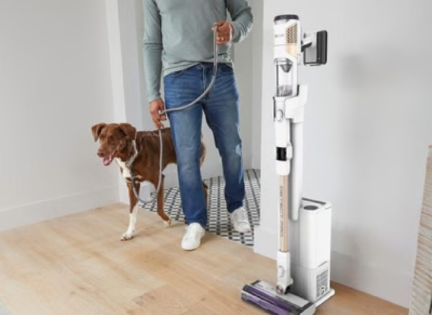 Shark Akku-Handstaubsauger Shark IW3611EU Akku Staubsauger, 240,00 W, beutellos, selbstentleerend