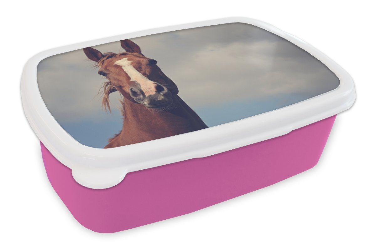 MuchoWow Lunchbox Pferd - Wolken - Porträt, Kunststoff, (2-tlg), Brotbox für Erwachsene, Brotdose Kinder, Snackbox, Mädchen, Kunststoff rosa