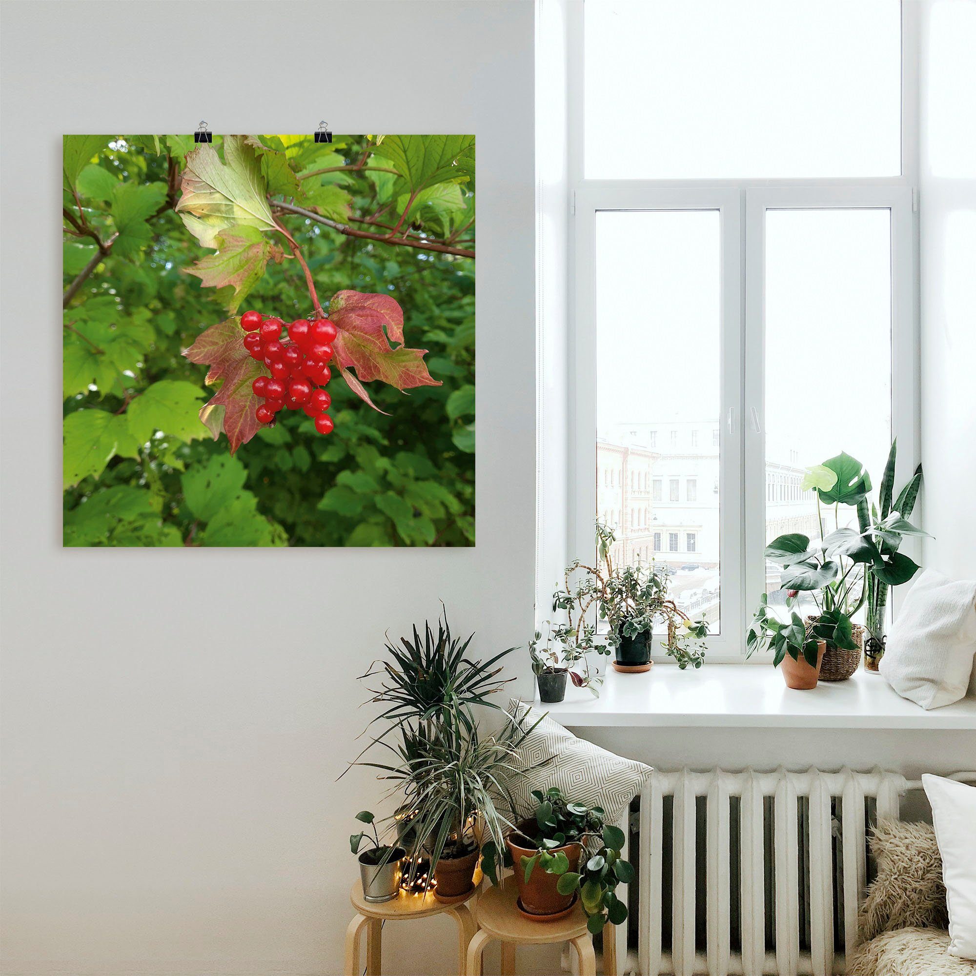 Artland in Poster oder Leinwandbild, Größen als Rote Wildbeeren, Blätterbilder Wandbild Wandaufkleber versch. (1 Alubild, St),