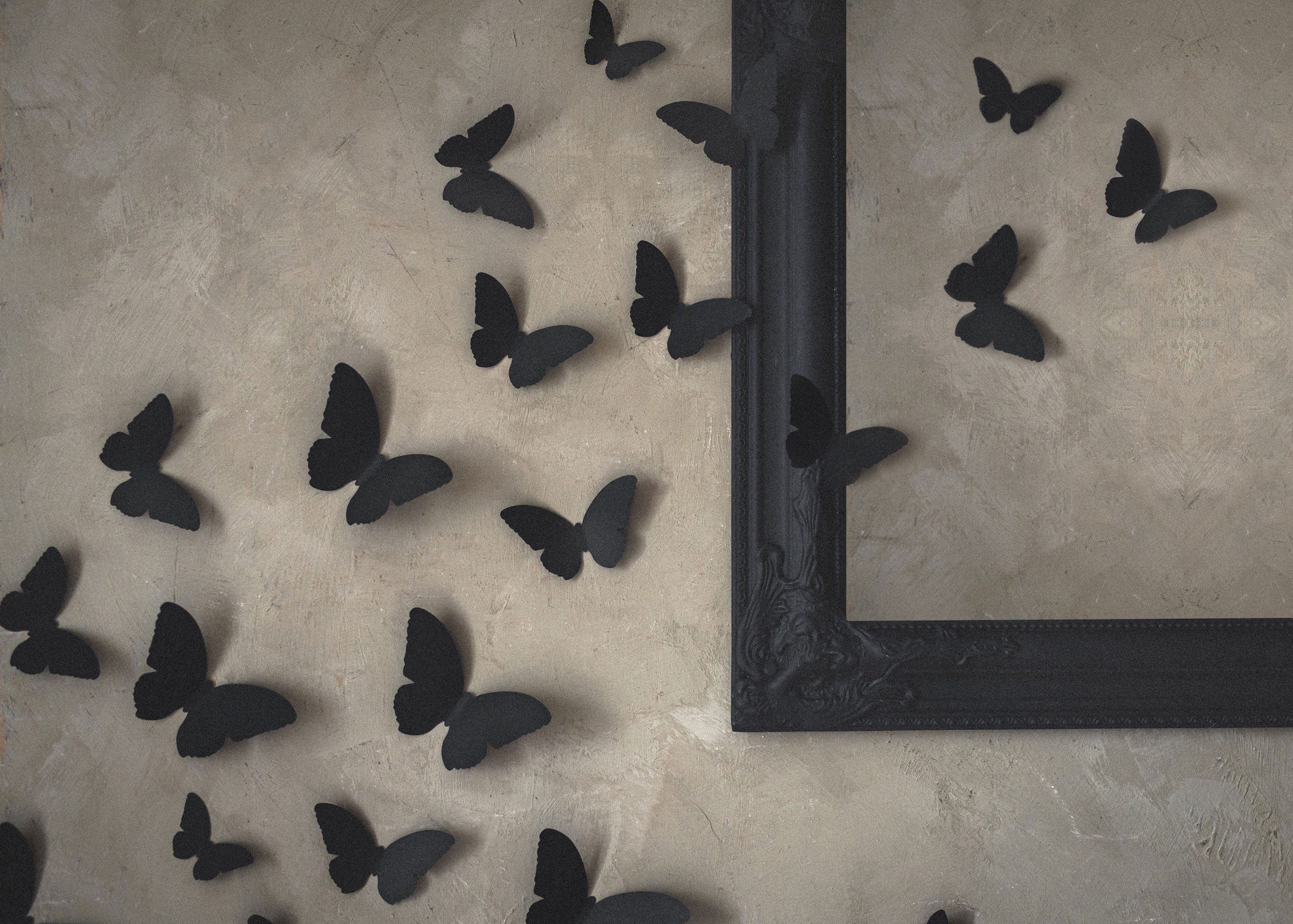 partydeco Wandtattoo, 3D Aufkleber Nachtfalter 6-12cm Papier Schwarz 30er S günstig online kaufen