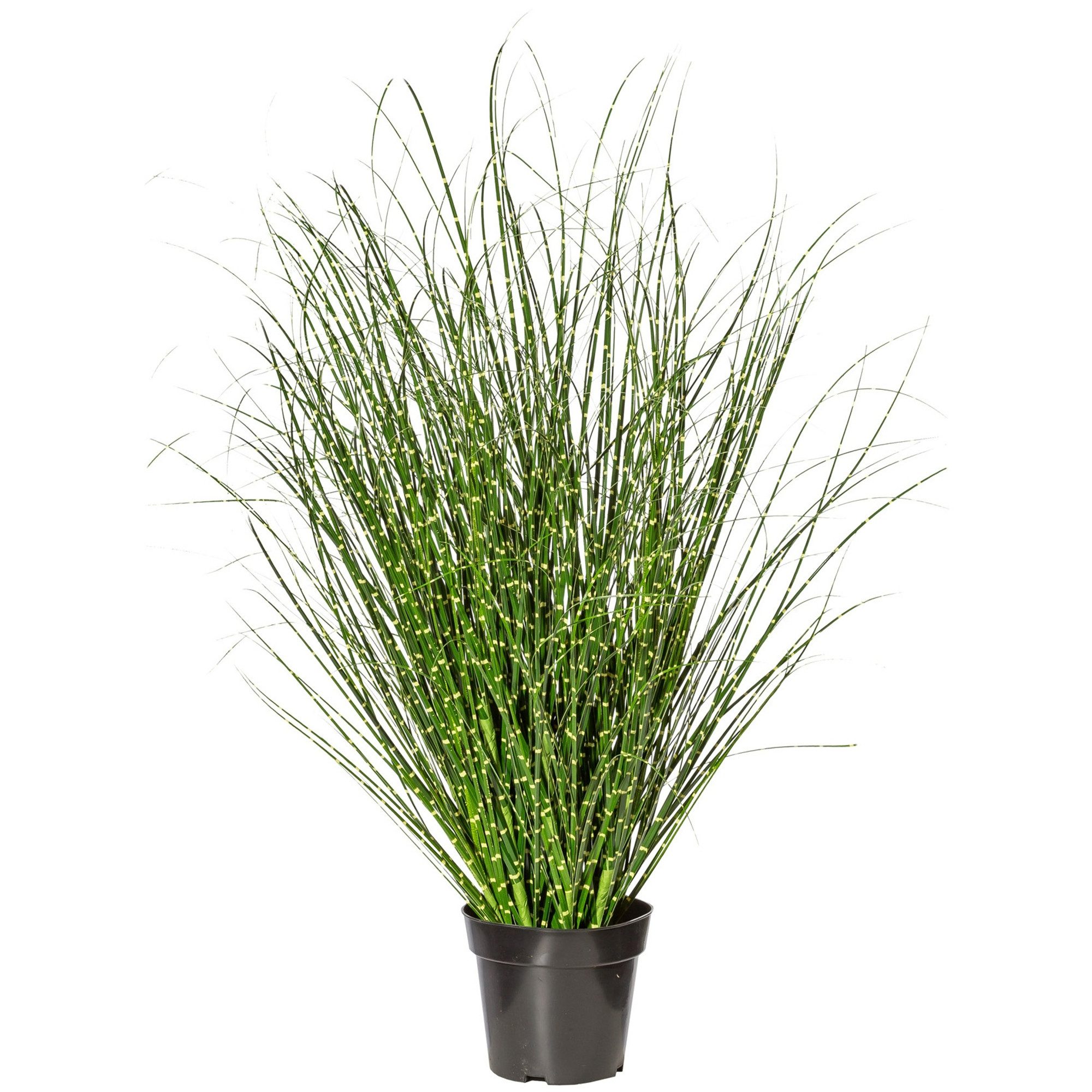 Kunstgras XXL 110cm Kunstpflanze Gras Zebragras Miscanthus Zebrinus Chinaschilf, TronicXL, Höhe 110 cm