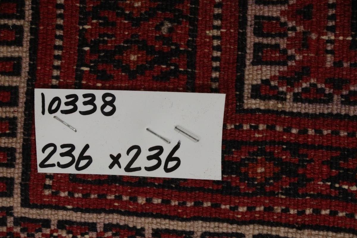 Trading, mm 6 rechteckig, Nain Handgeknüpfter Turkaman 235x237 Orientteppich / Orientteppich Perserteppich, Höhe: