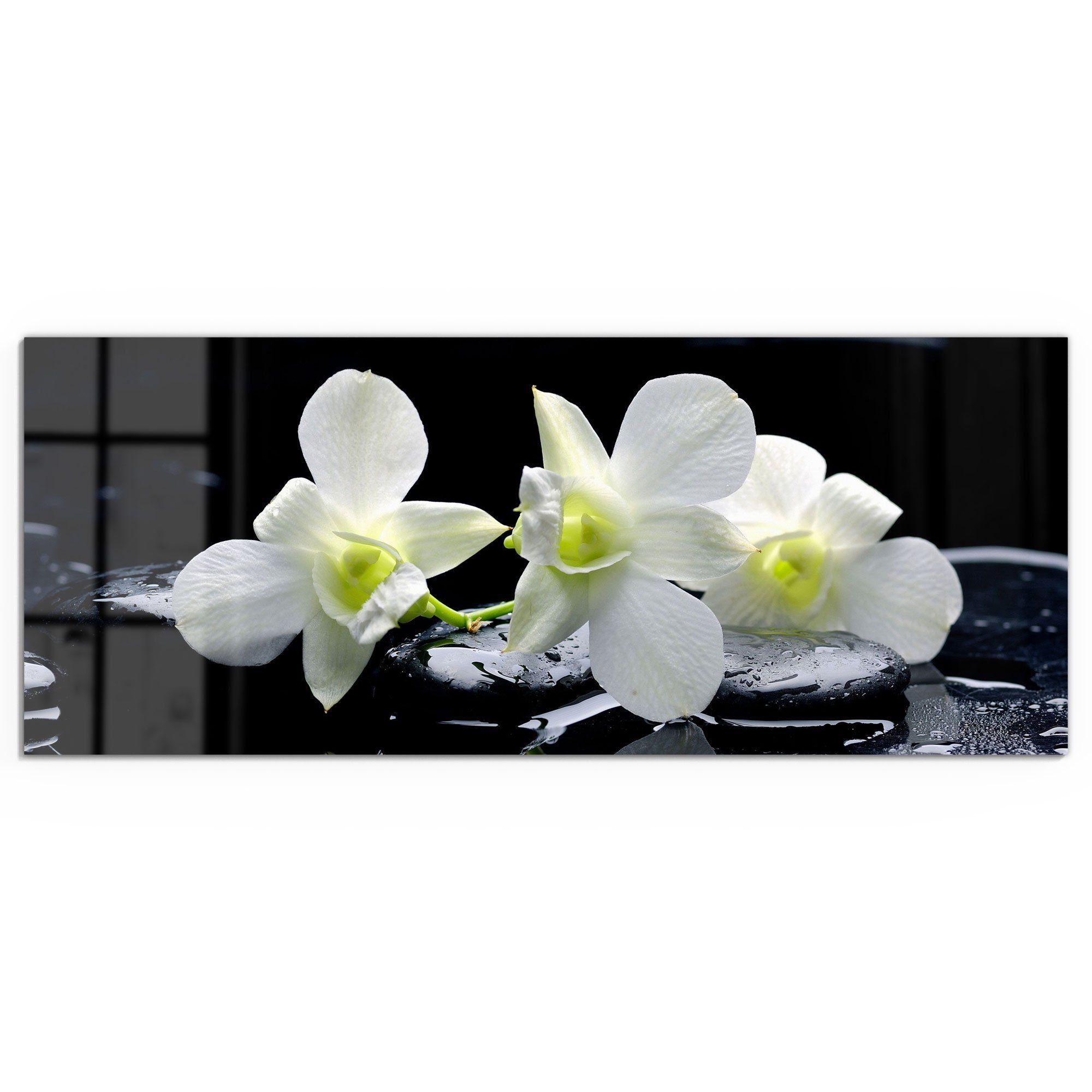 DEQORI Glasbild 'Orchidee mit Zen-Steinen', 'Orchidee günstig online kaufen