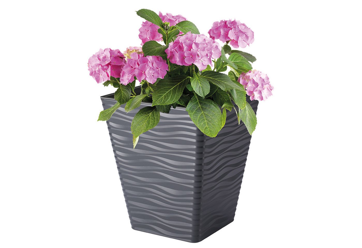 Thumbnail - FORM-PLASTIC Blumentopf, Sahara Dunes Square 35 Gehäuse