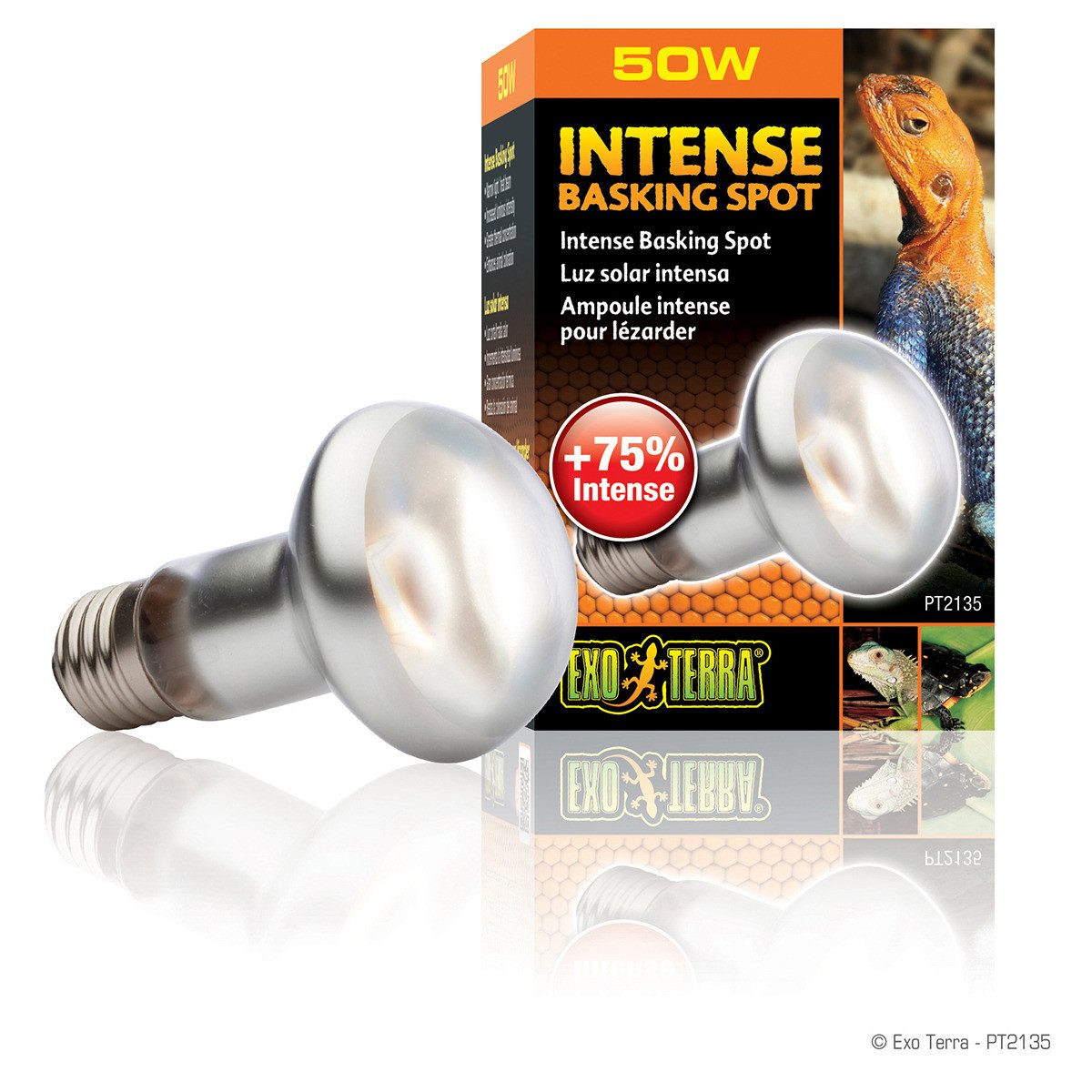 Exo Terra Terrarienleuchte Intense Basking Spot - Tageslichtlampe günstig online kaufen