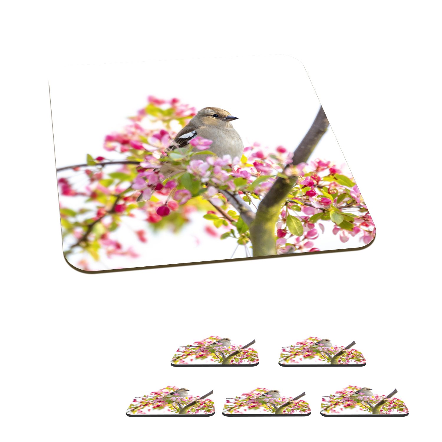MuchoWow Glasuntersetzer Vogel zwischen rosa Blumen, Zubehör für Gläser, 6-tlg., Glasuntersetzer, Tischuntersetzer, Korkuntersetzer, Untersetzer, Tasse
