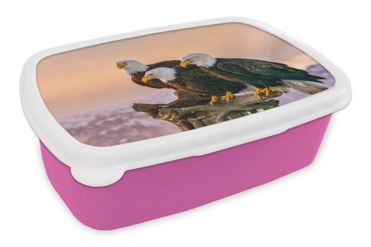 MuchoWow Lunchbox Vögel - Natur - Raubvögel - Adler, Kunststoff, (2-tlg), Brotbox für Erwachsene, Brotdose Kinder, Snackbox, Mädchen, Kunststoff rosa