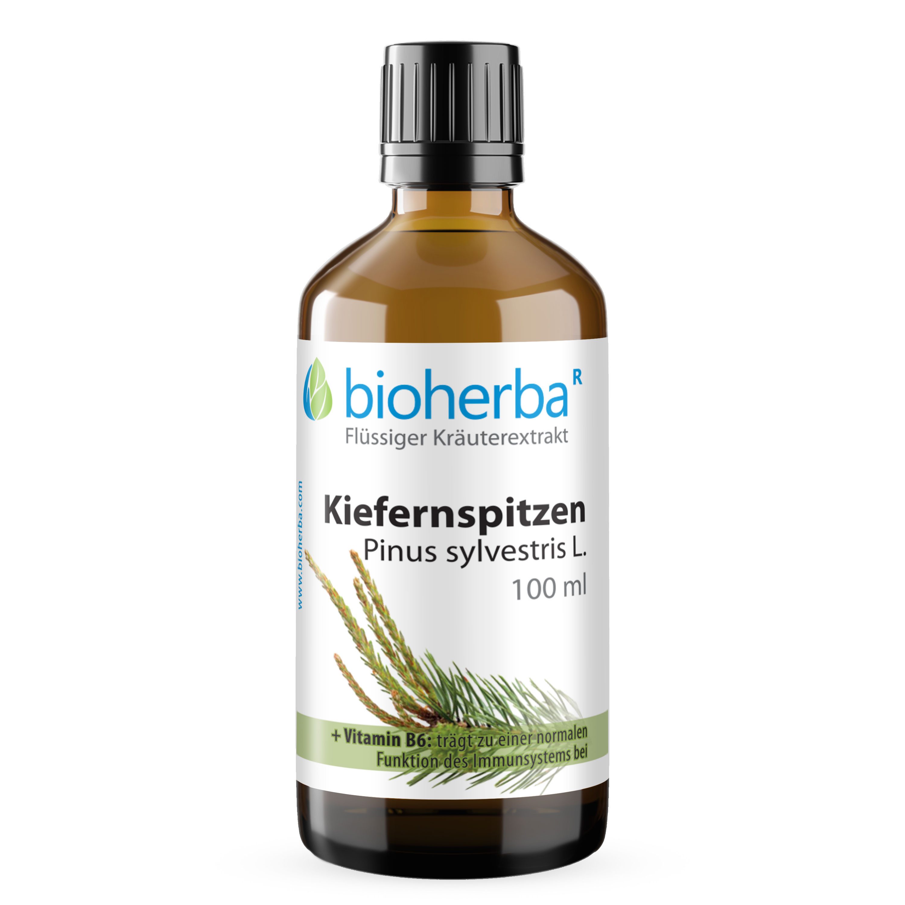 BIOHERBA R Bioherba Kiefernspitzen Pinus sylvestris L. Tropfen Tinktur 100 ml Glasflasche, 1 er