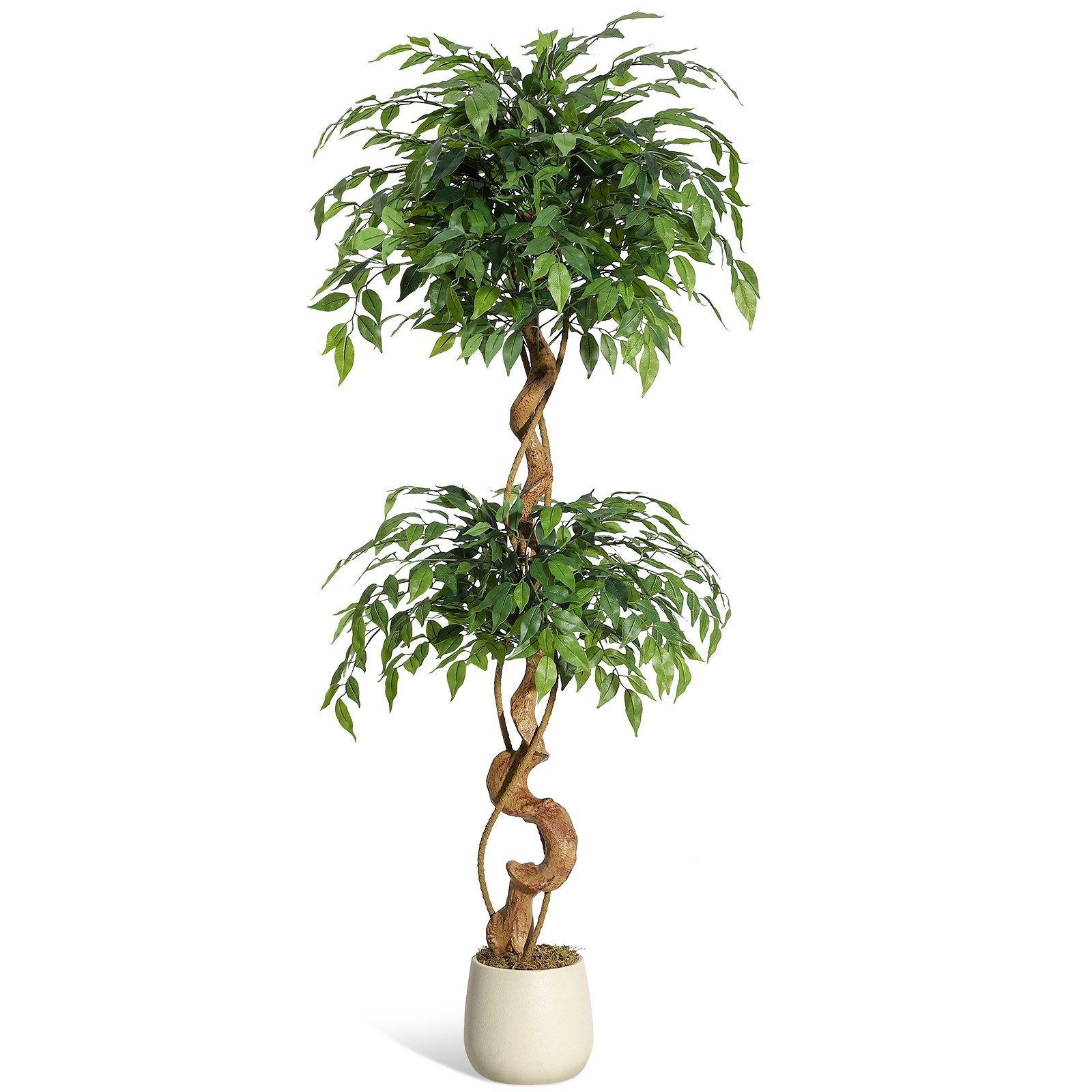 Kunstpflanze 1.5/1.8m Ficus Benjamini Ficusbaum mit Topf, Hausprofi, Höhe 150 cm, Birkenfeige mit Echtholzstamm, pflegeleicht & immergrün