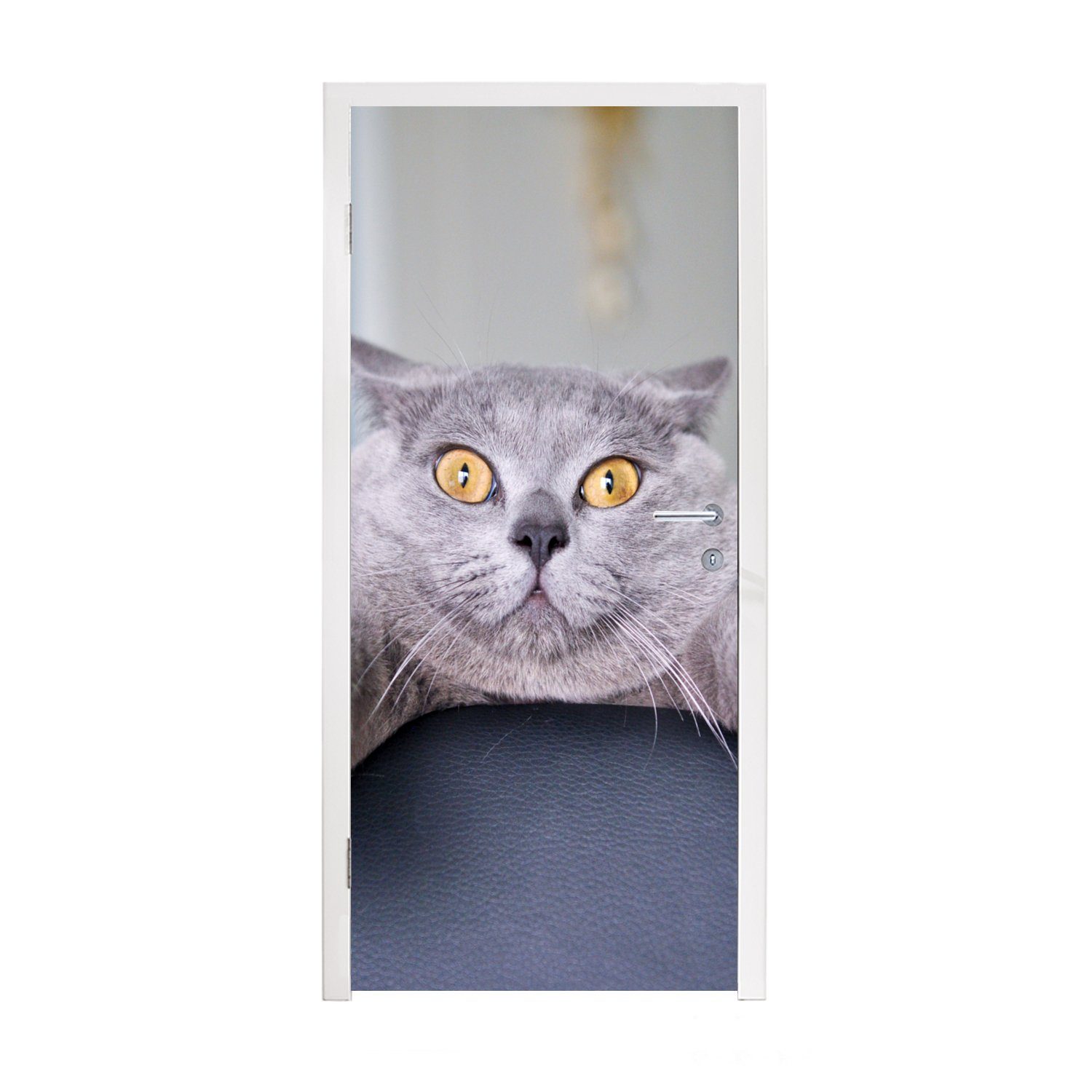 MuchoWow Türtapete Katze - Angst - Stuhl, Matt, bedruckt, (1 St), Fototapete für Tür, Türaufkleber, 75x205 cm