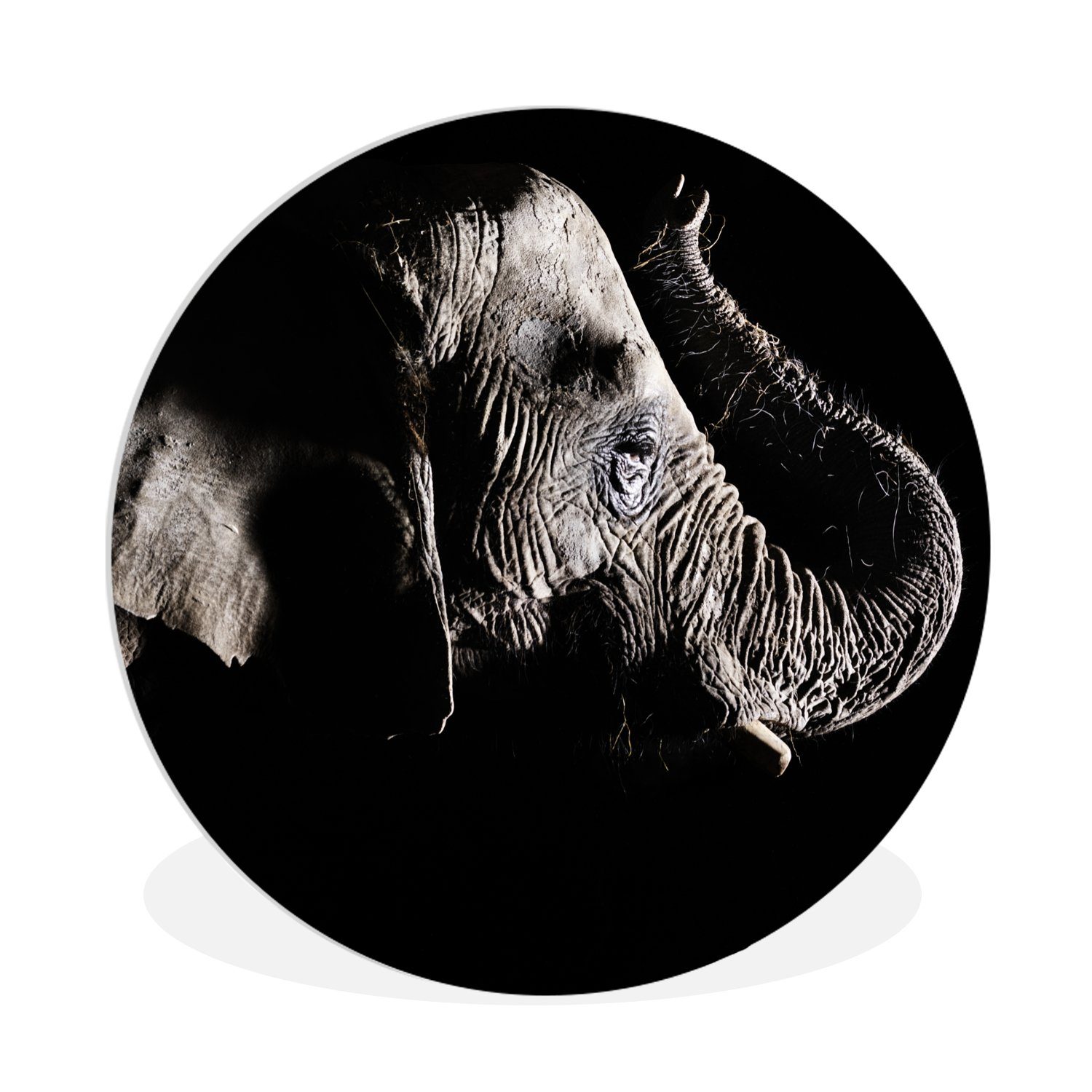 Kreis Wanddekoration MuchoWow cm (1 Elefant Tiere - Natur, - St), Schwarz Wandbild, 30x30 Wohnzimmer, - Forex, Rundes Gemälde