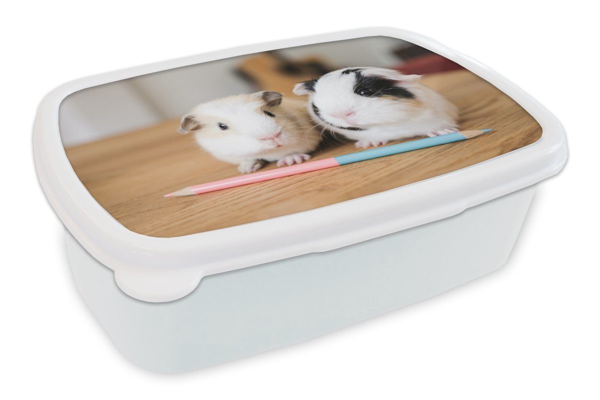 MuchoWow Lunchbox Entzückende Baby-Meerschweinchen, Kunststoff, (2-tlg), Brotbox für Kinder und Erwachsene, Brotdose, für Jungs und Mädchen weiß