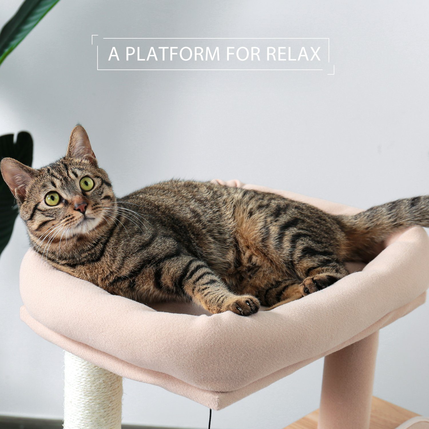 PAWZ Road Kratzbaum Holz Kratzbaum Katzenbaum Sisal Katzenmöbel Katzenhöhle, Grau, aus Holz