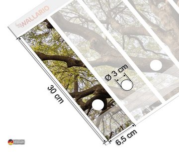 Wallario Etiketten Weit verzweigter Baum mit Palmen - Ansicht aus der Froschperspektive, Ordnerrücken-Sticker in verschiedenen Ausführungen