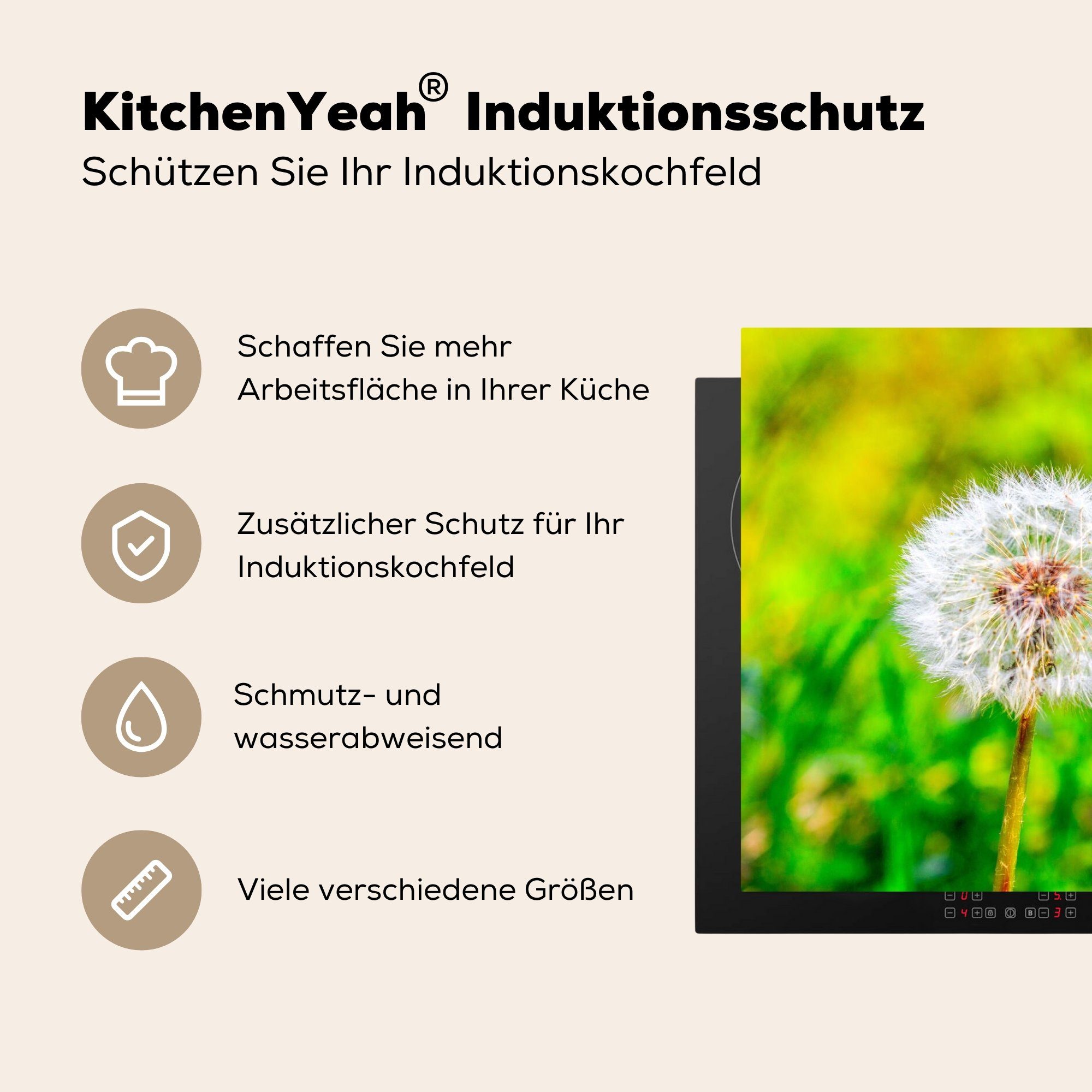 (1 für Gras 81x52 Blume, tlg), Herdblende-/Abdeckplatte cm, Arbeitsplatte Löwenzahn Ceranfeldabdeckung, MuchoWow - Vinyl, - küche