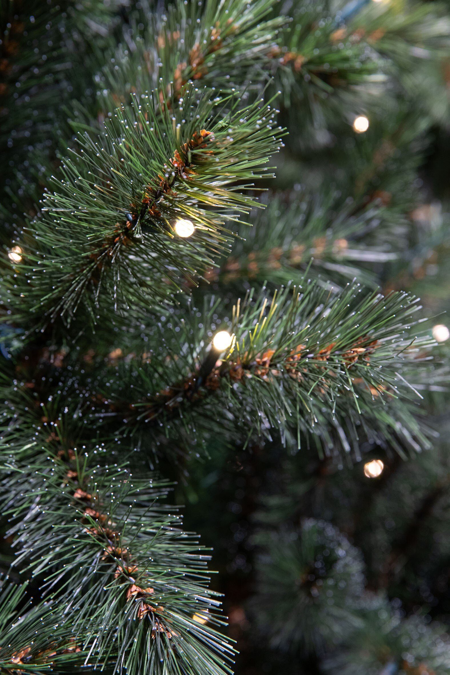 Triumph Tree Künstlicher Weihnachtsbaum Triumph Tree Forest Frosted Weihnachtsbaum mit burlap led gruen 48L TI