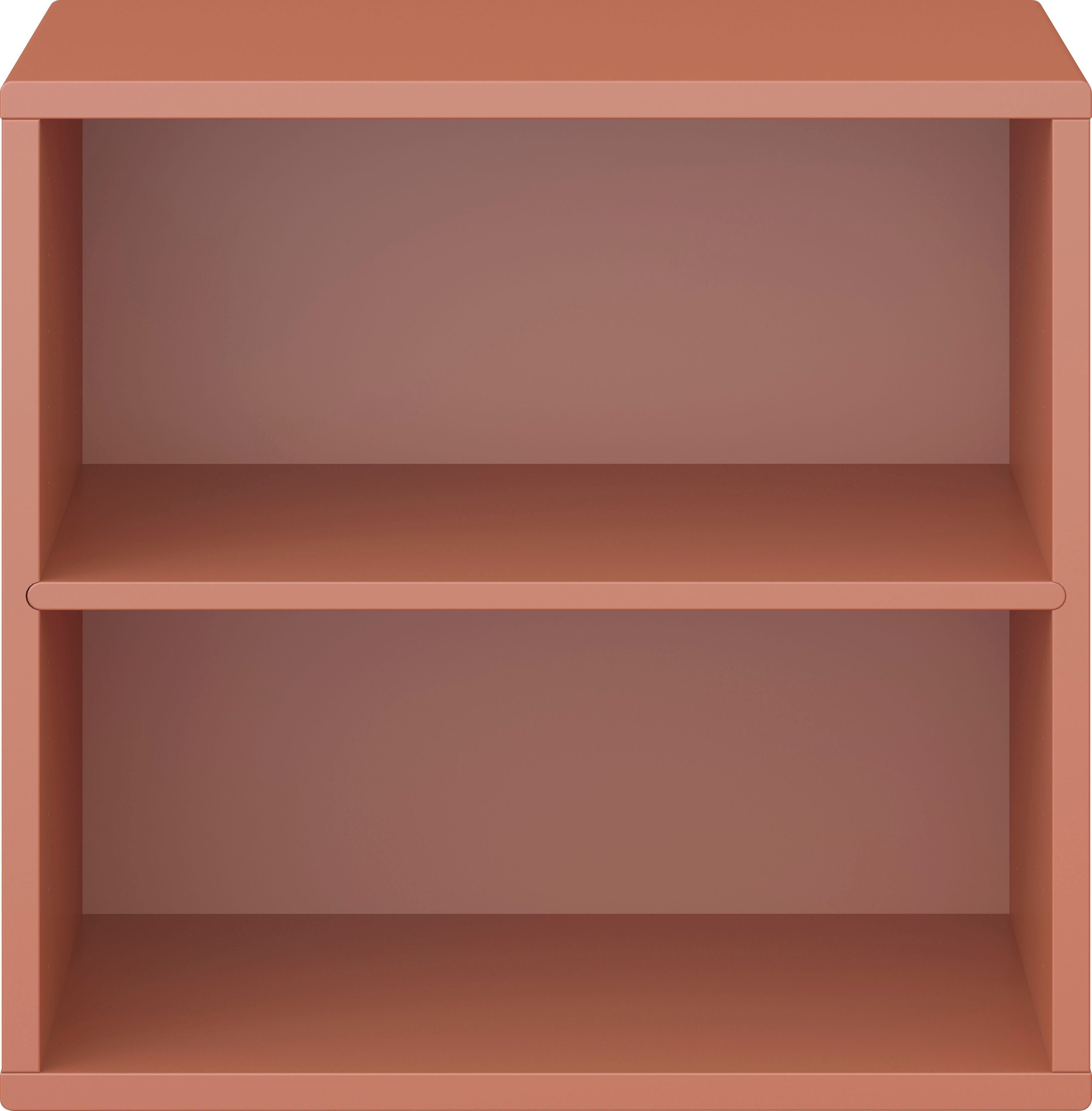 Hammel Furniture Regal Keep by flexible | Möbelserie Terrakotta mit Modul Hammel Terrakotta festem 001, Wandmontage, Regalboden, 45,4cm, Breite