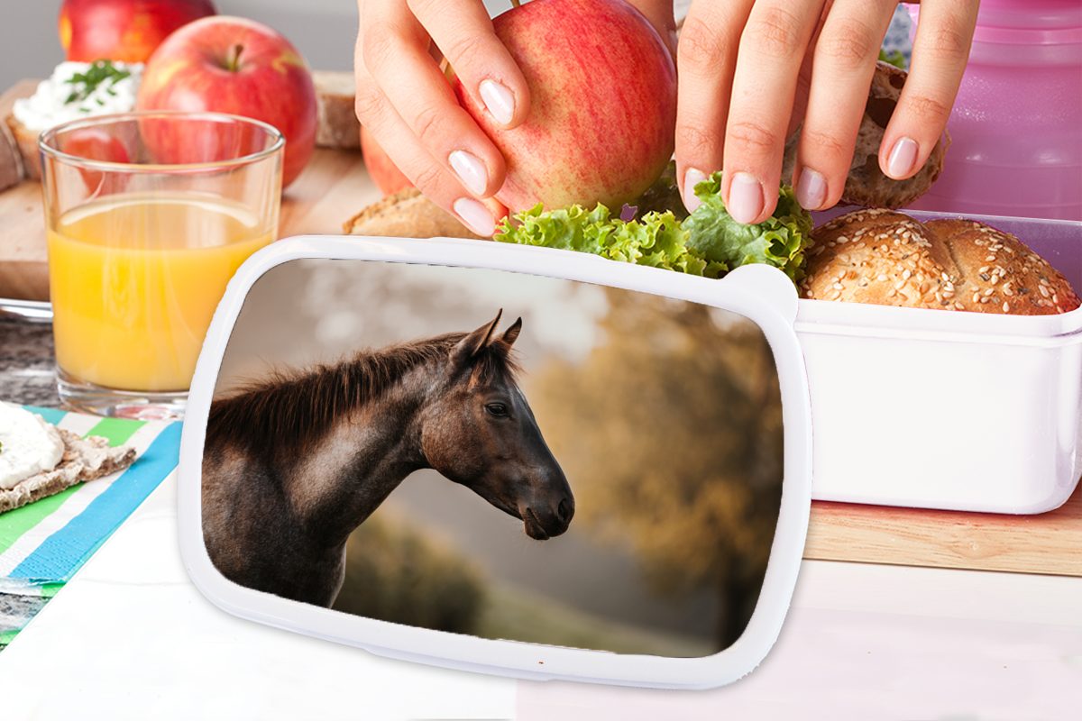 MuchoWow Lunchbox Pferd für Wald - Erwachsene, Porträt, weiß (2-tlg), - Kinder und und Jungs Brotbox Brotdose, Kunststoff, für Mädchen