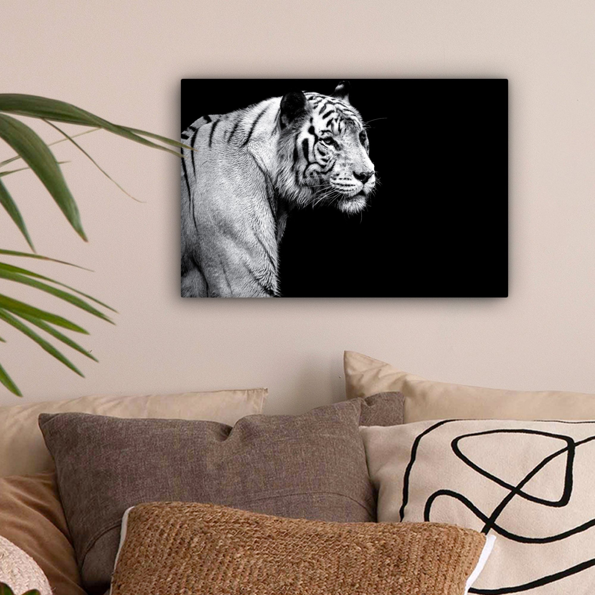 Wilde cm Aufhängefertig, - St), OneMillionCanvasses® (1 Wandbild Licht, Tiger - Leinwandbilder, 30x20 Tiere Leinwandbild Wanddeko,