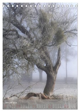 CALVENDO Wandkalender Klimaretter Baum (Tischkalender 2024 DIN A5 hoch)