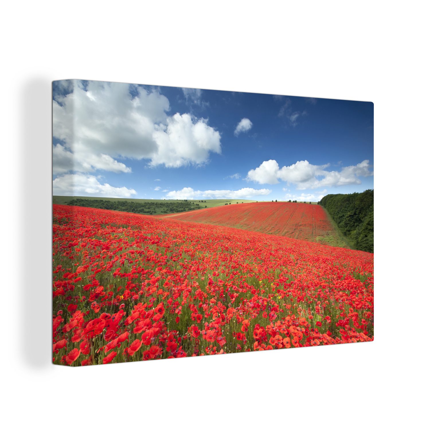 OneMillionCanvasses® Leinwandbild Mohnblumen - Blumen - Himmel, (1 St), Wandbild Leinwandbilder, Aufhängefertig, Wanddeko, 30x20 cm