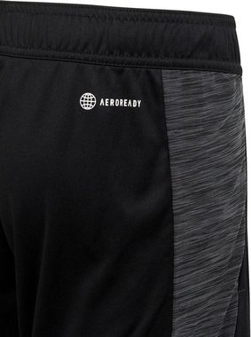 adidas Sportswear Funktionsshorts B TI HEATH SHO BLACK/GRESIX