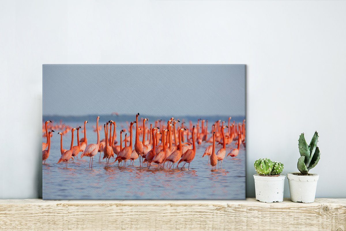 OneMillionCanvasses® Aufhängefertig, von cm Leinwandbild 30x20 Wasser, im Wanddeko, Große Leinwandbilder, Flamingos Gruppe St), Wandbild (1