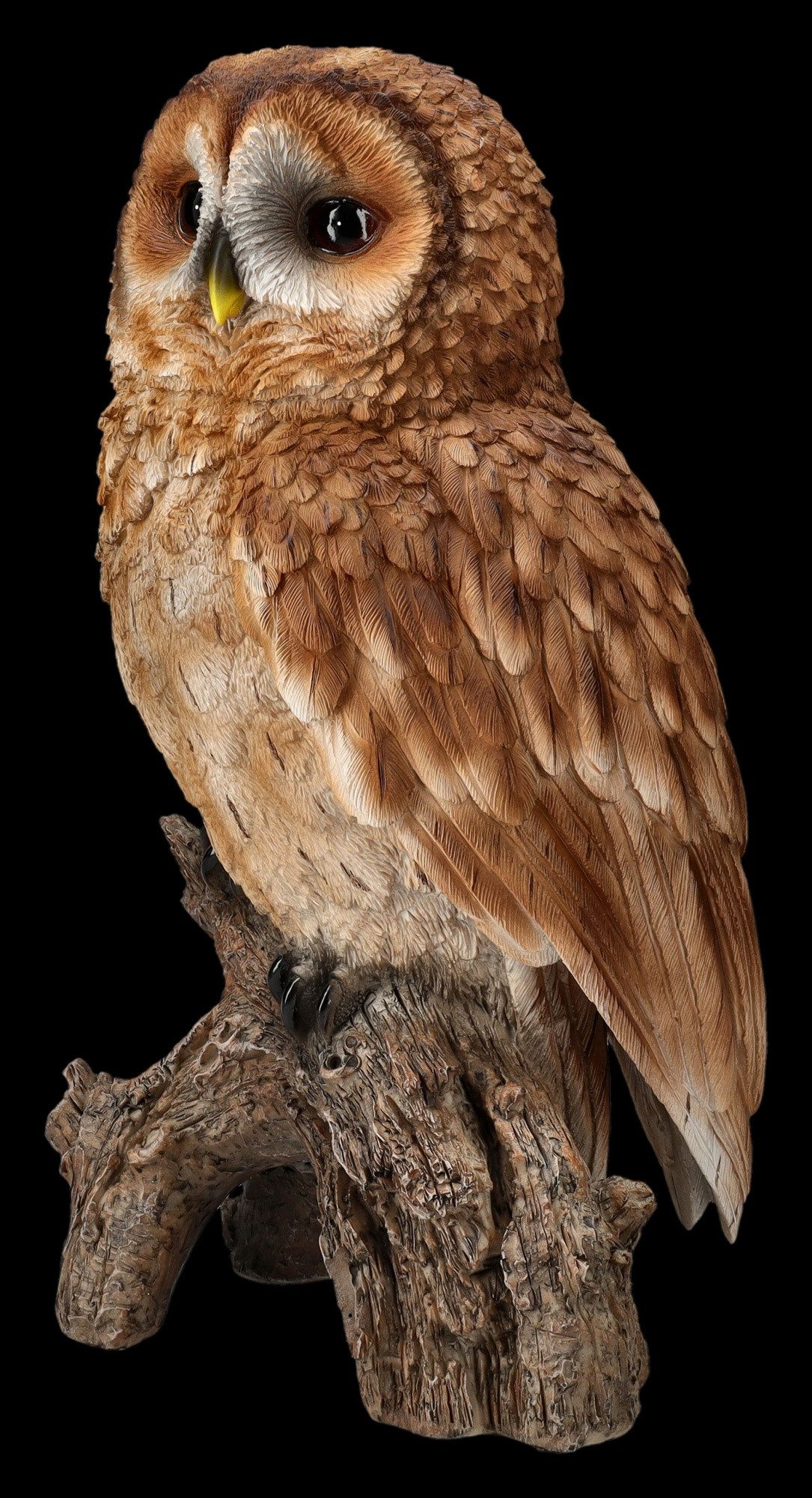 Figuren Shop GmbH Gartenfigur Gartenfigur Eule - Großer Waldkauz - HotAnt T günstig online kaufen