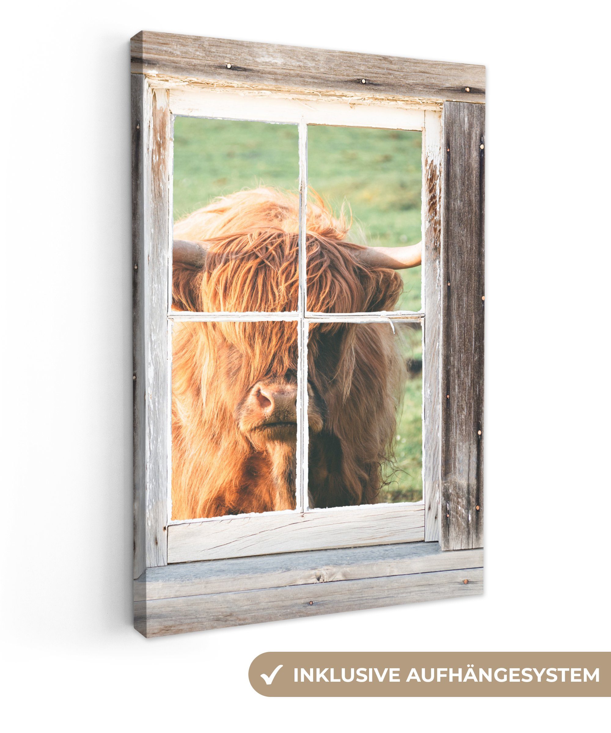 OneMillionCanvasses® Leinwandbild Schottischer Highlander - Holz Fenster Leinwandbild Gemälde, (1 Ansicht, - bespannt inkl. St), 20x30 fertig - cm Zackenaufhänger