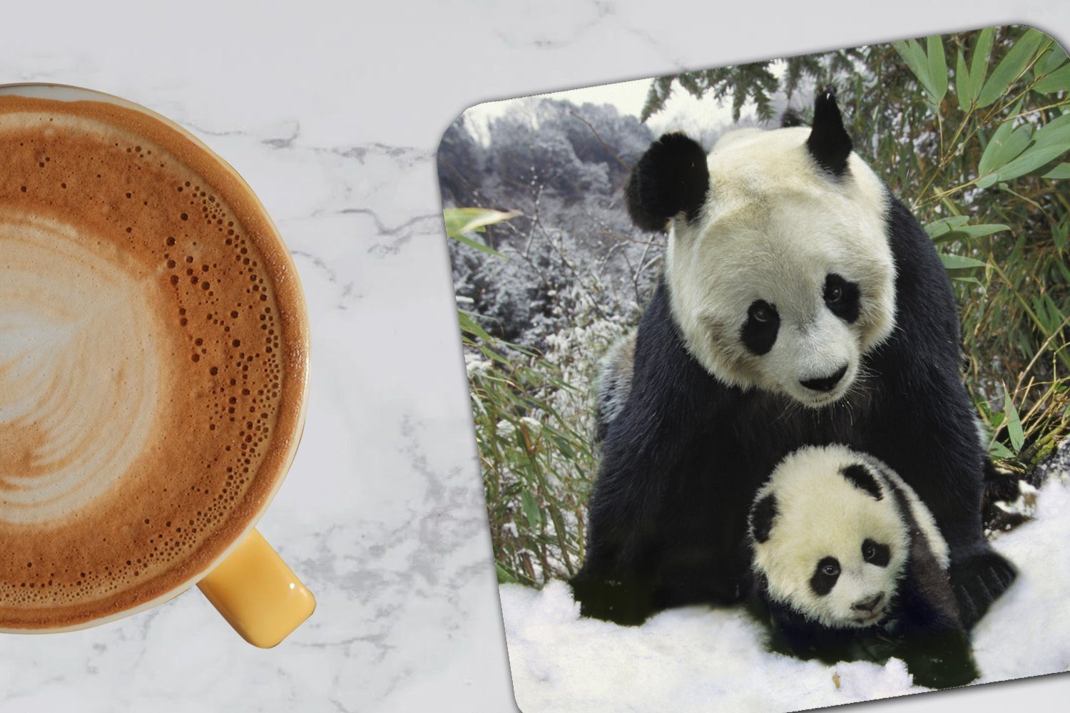 Untersetzer, Zubehör Korkuntersetzer, 6-tlg., Jungtier Schnee, MuchoWow - Tasse Glasuntersetzer Gläser, Panda - für Glasuntersetzer, Tischuntersetzer,