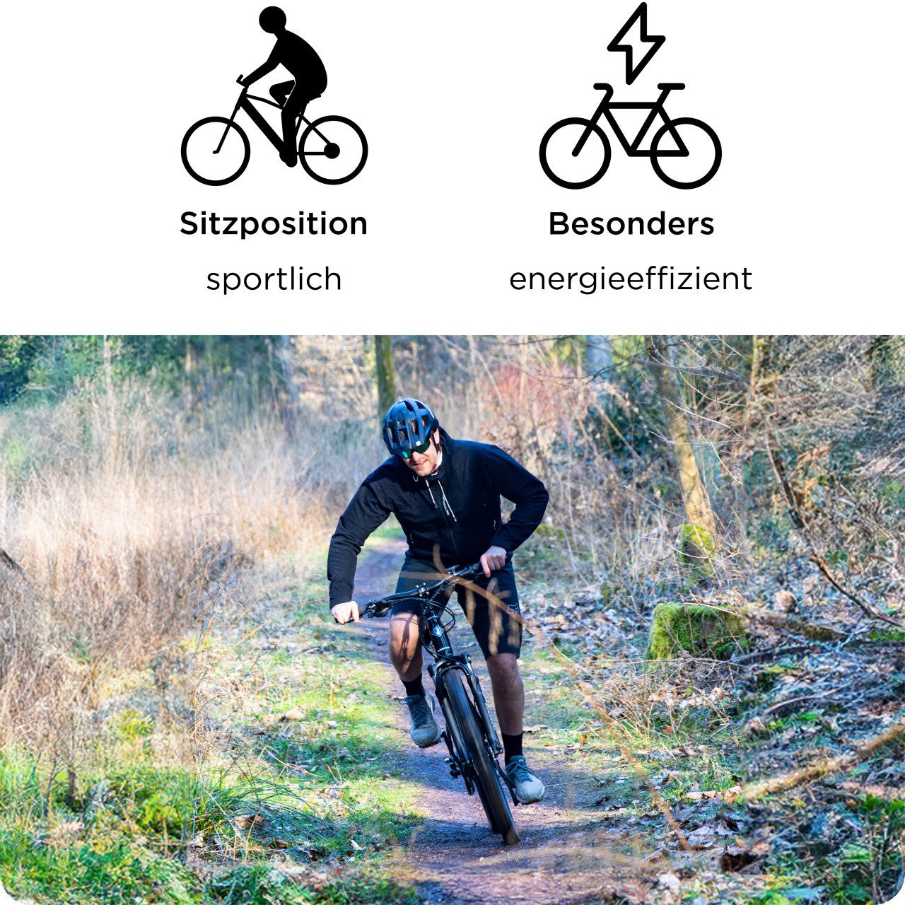 Zündapp E-Bike Zündapp E-Bike MTB X900 27,5 Zoll 10-Gang 733 Wh