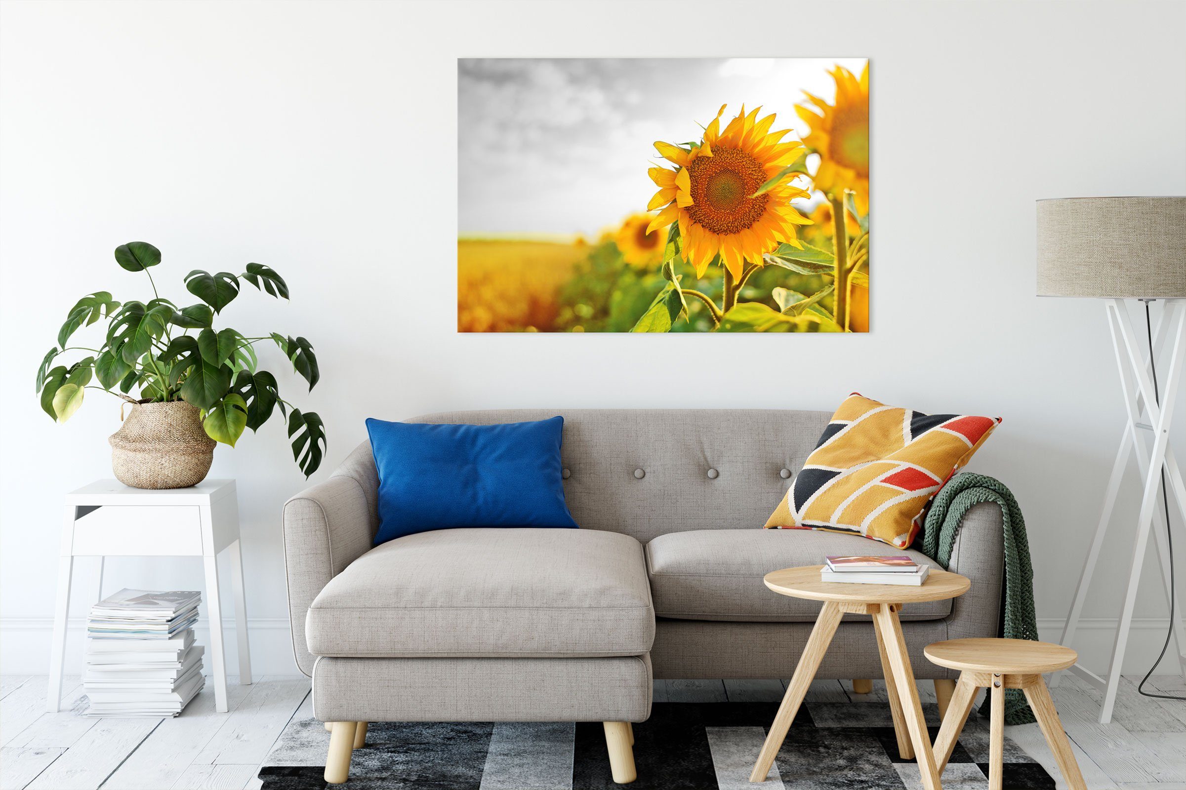 Pixxprint Leinwandbild inkl. bespannt, Zackenaufhänger Nahaufnahme fertig Sonnenblume, Leinwandbild (1 Nahaufnahme St), einer einer Sonnenblume