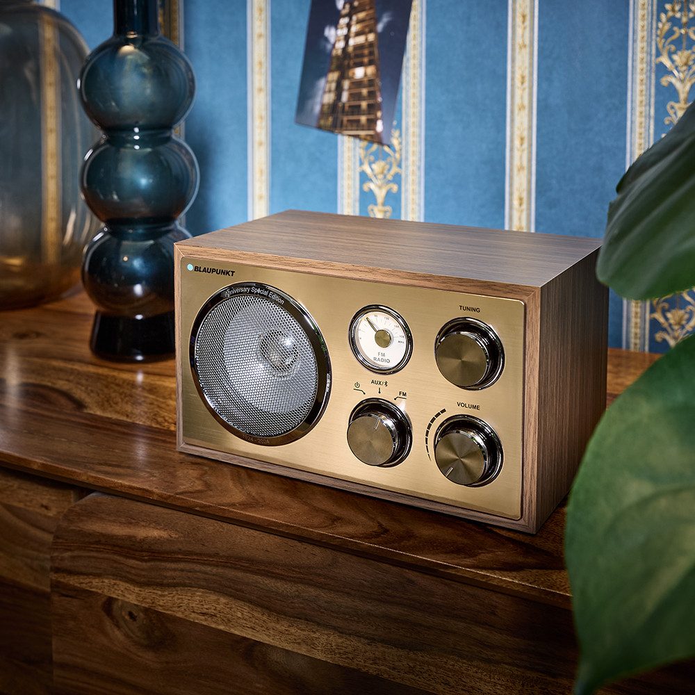 Blaupunkt RXN 180 Radio (UKW, Hintergrundbeleuchtete Freguenzanzeige)