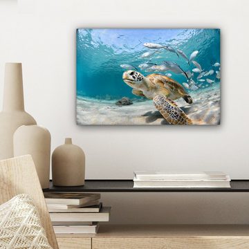 OneMillionCanvasses® Leinwandbild Schildkröte - Fisch - Meer, (1 St), Wandbild Leinwandbilder, Aufhängefertig, Wanddeko, 30x20 cm