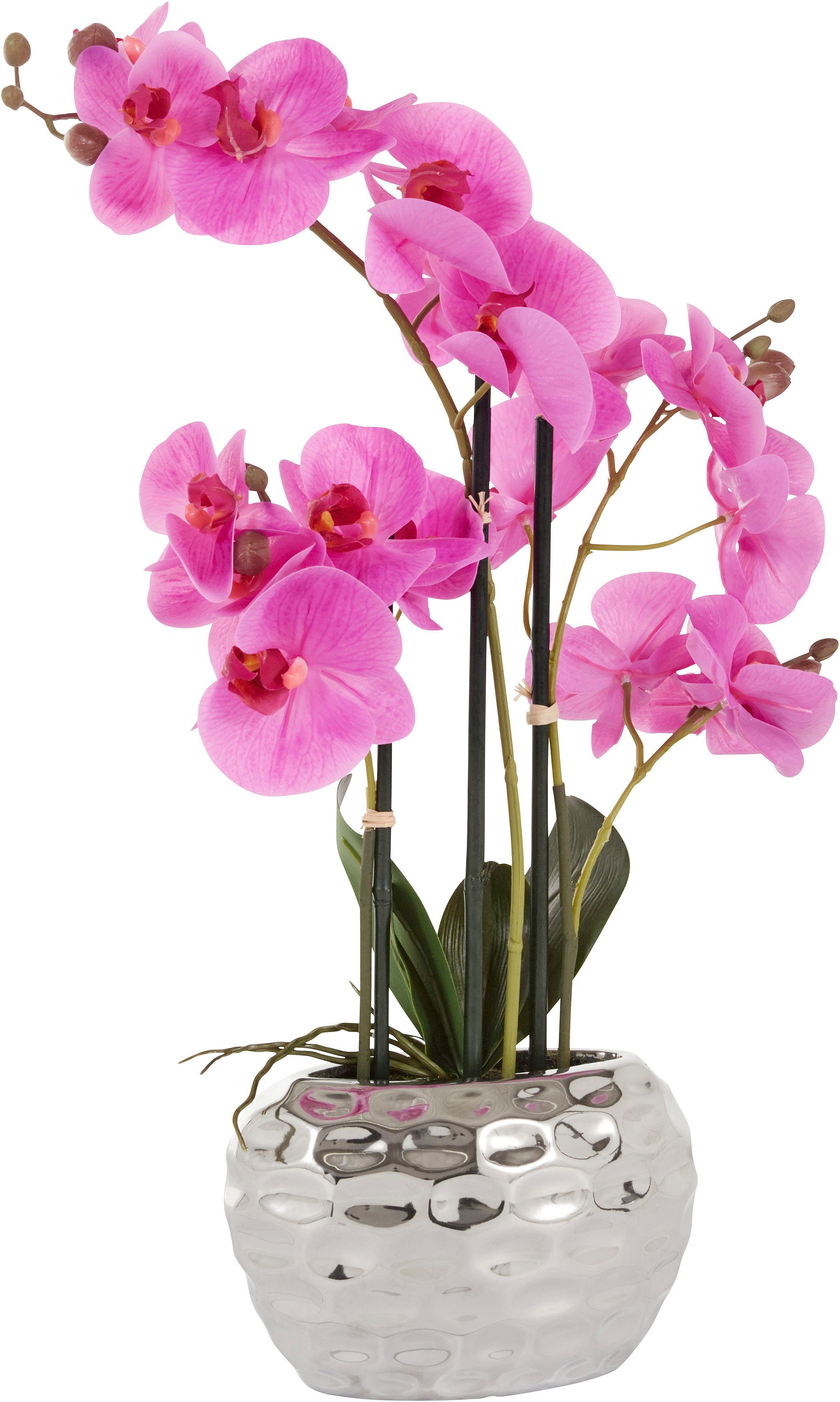 Kunstpflanze Orchidee Orchidee, Leonique, Höhe 55 cm, Kunstorchidee, im Top günstig online kaufen